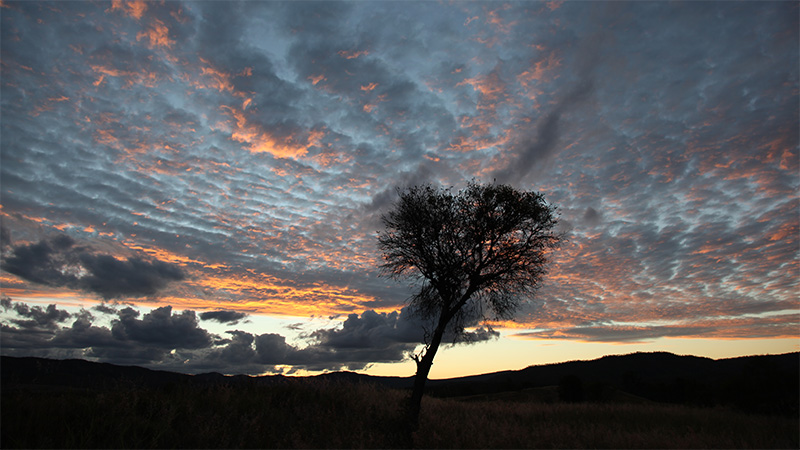 sunset on the Bimblebox Nature Refuge in Australia